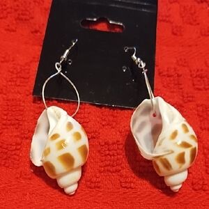 Elegant Shell Earrings